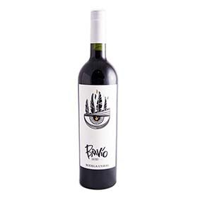 VINO-BRAVIO-CABERNET