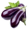 BERENJENA-NEG