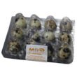HUEVOS DE CODORNIZ X 12 U HUEVOS-DE-CODORNIZ-X-12-U