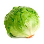 LECHUGA-ARREP