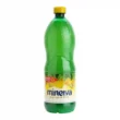 Minerva x1L